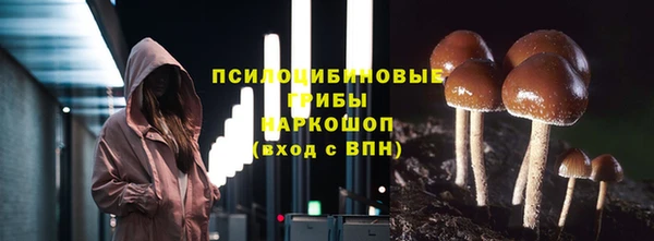 молекула духа Алексеевка