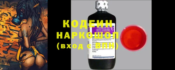 молекула духа Осинники