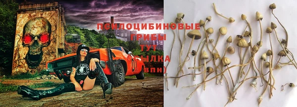 стафф Алексин