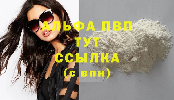 стафф Алексин