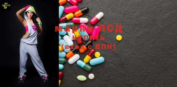 индика Осташков