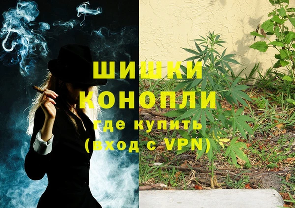 молекула духа Алексеевка